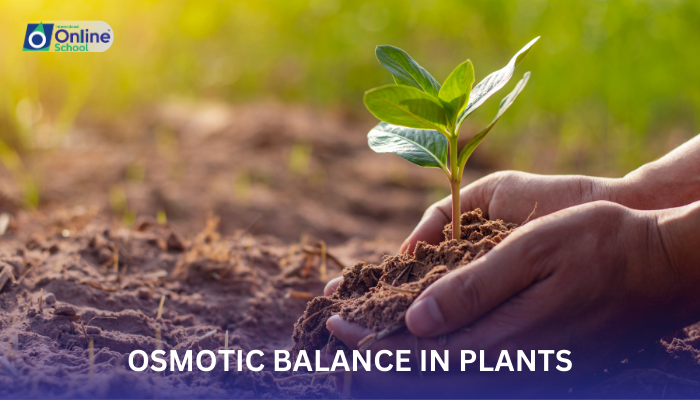 Lesson 03: Osmotic Balance in Plants